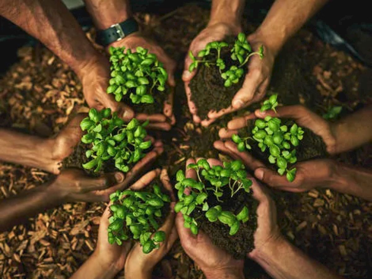 6 pairs of hands holding sprouts to be planted