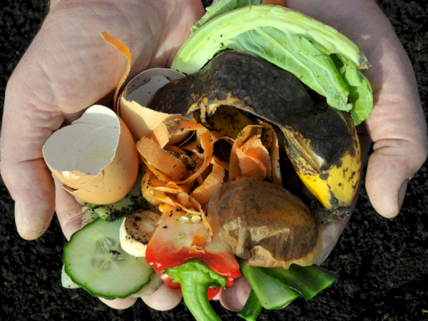A person&rsquo;s hands hold mixed food scraps&mdash;vegetable peels and egg shells&mdash;on a kitchen counter.