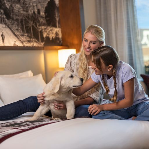 A blonde woman and a girl sit on a bed with a fluffy puppy, sharing a joyful moment indoors, lights warm and cozy, smiles all around.